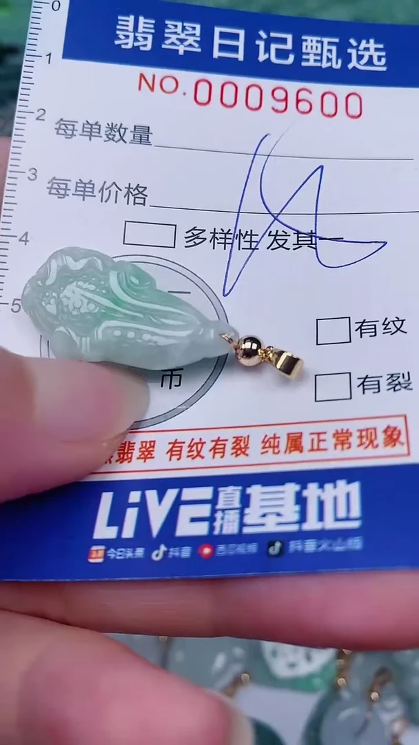 翡翠未镶嵌颈饰00009600