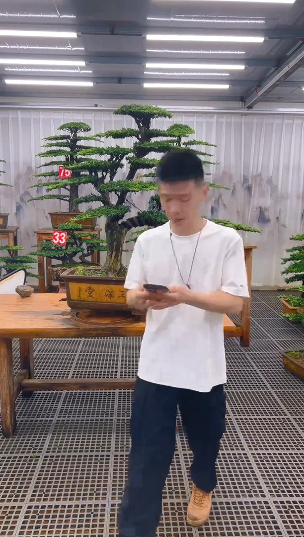 无花朵G****n精品盆景直播间一物一拍