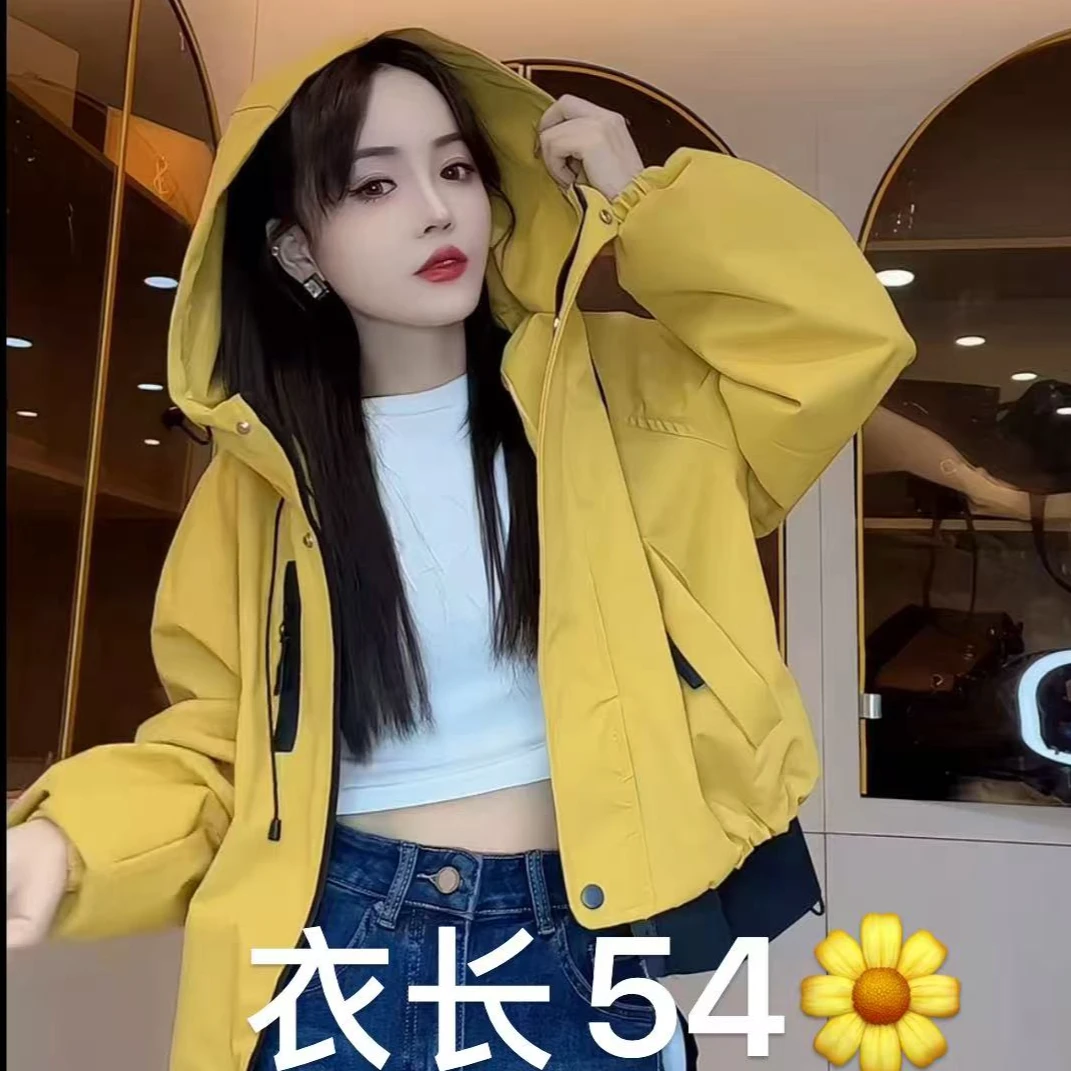 【艳子】605小个子 ~连帽抽绳冲锋衣外套
