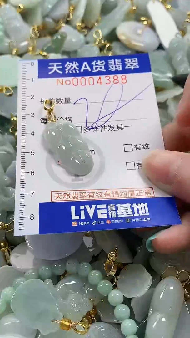 颈饰未镶嵌翡翠纯天然货a翡翠