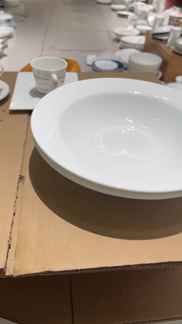 瓷10.5英寸深汤盘2只外单