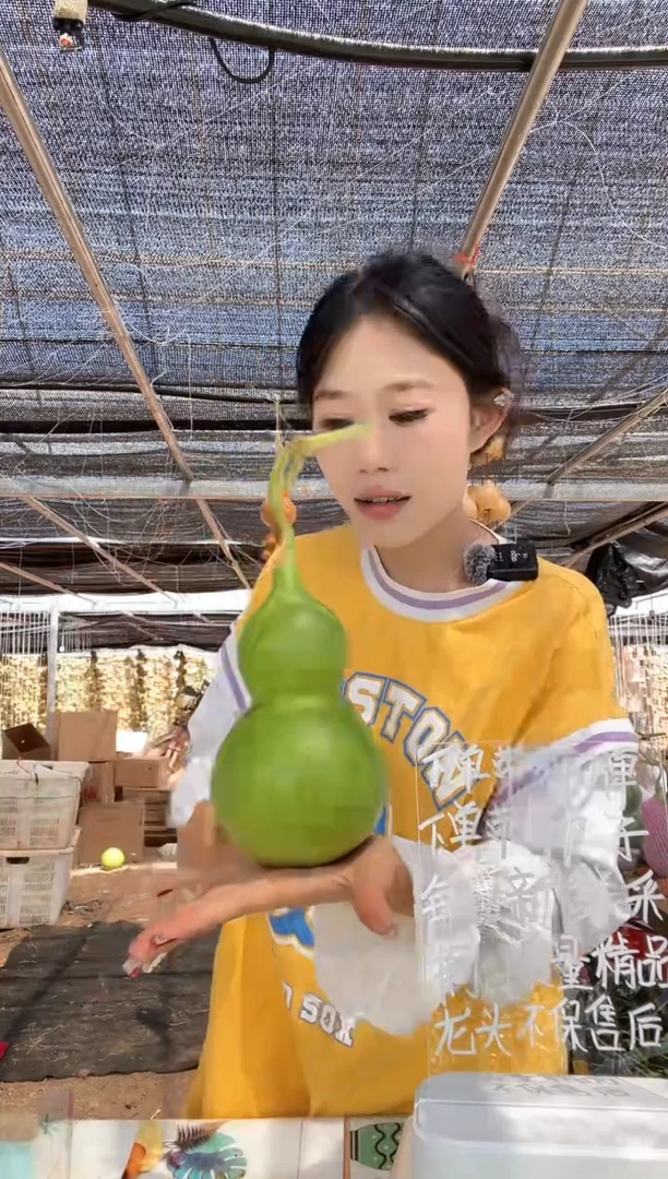 492天然葫芦摆件 一物一拍龙头不保售后