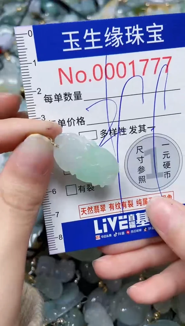 【闪购商品】翡翠颈饰未镶嵌闪购0000177