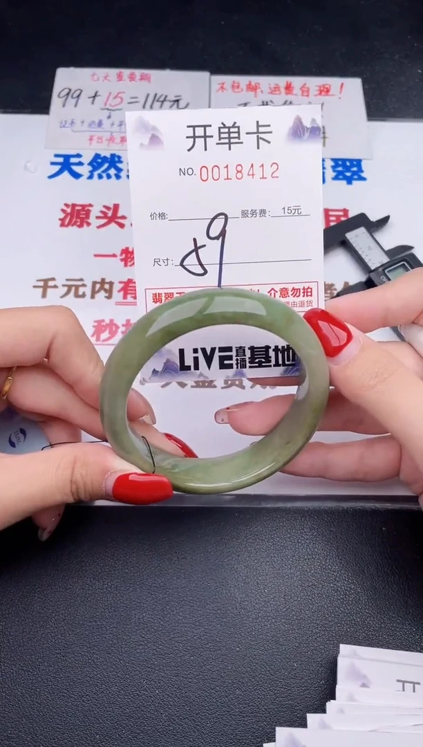 未镶嵌手镯翡翠12