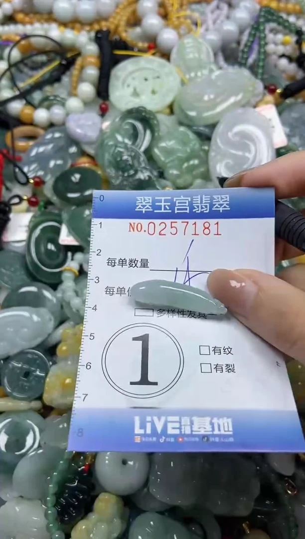 颈饰未镶嵌翡翠闪购C0257181