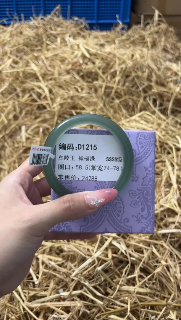 未镶嵌手镯石英质玉D1215