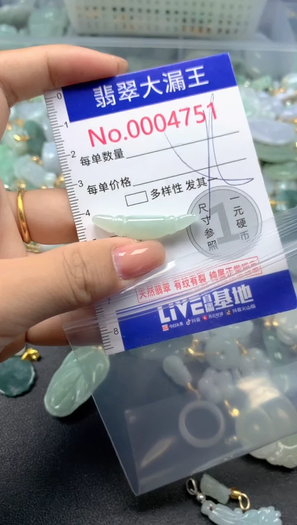 颈饰未镶嵌翡翠4751