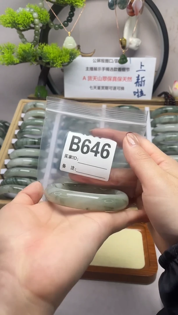 【闪购商品】石英质玉（天山翠）手镯未镶嵌b646