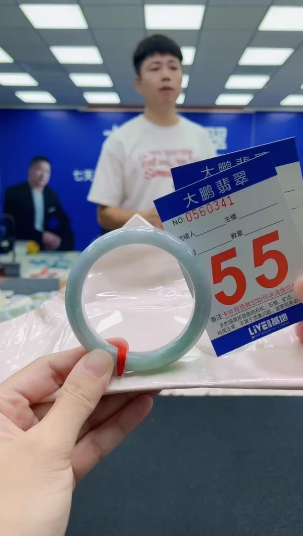 未镶嵌手镯翡翠AAAAAAAAA