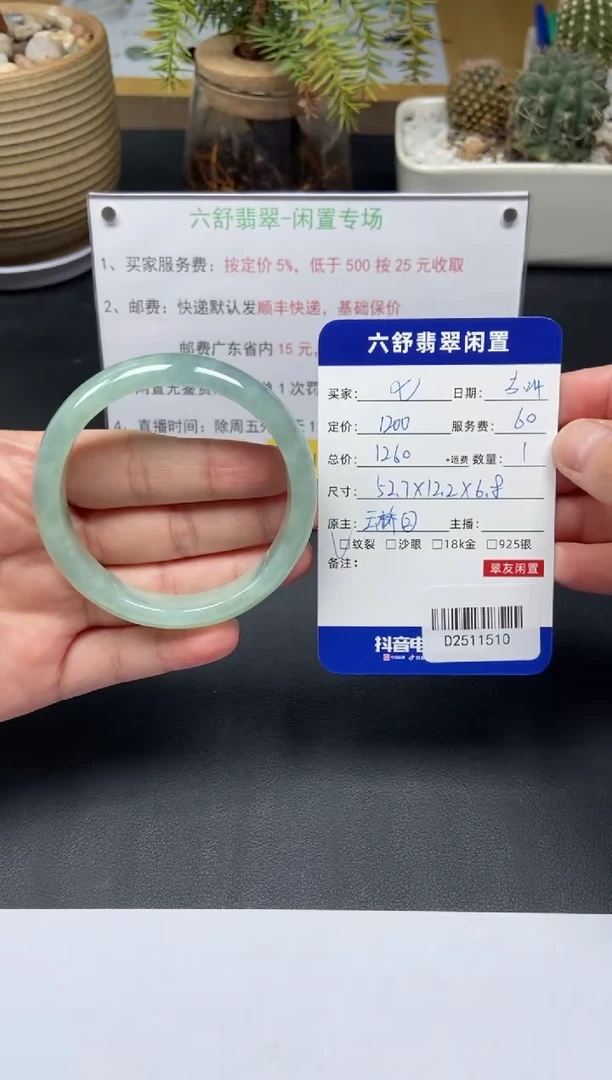 翡翠手镯未镶嵌D2511510