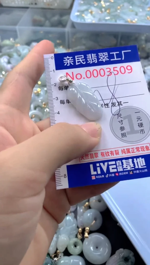 颈饰未镶嵌翡翠3509