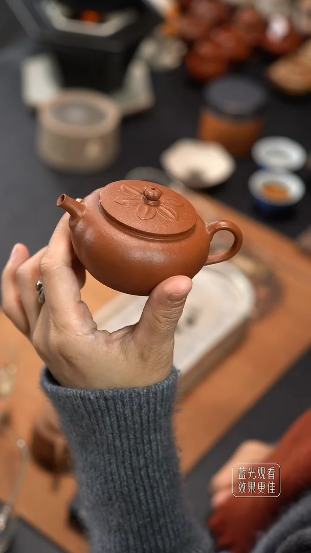 新莲蒲16目老朱砂100cc