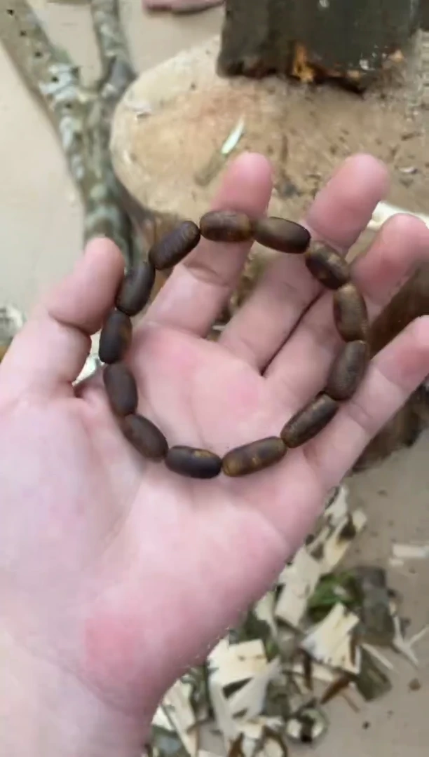 沉香手串棋楠沉香 原料文创棋楠沉香手串 多样性发货1串