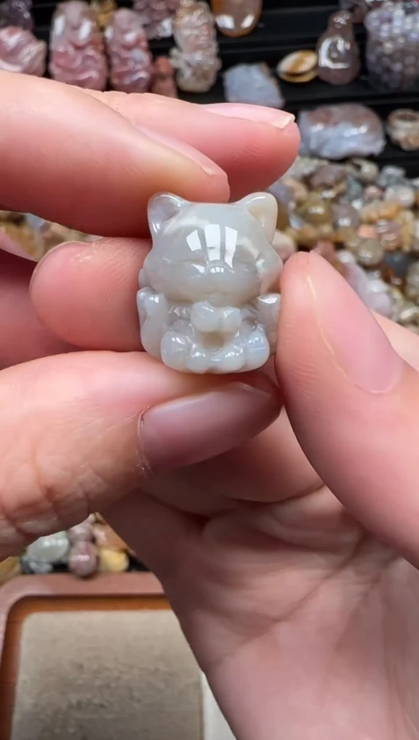 颈饰未镶嵌硅化珊瑚（珊瑚玉）374