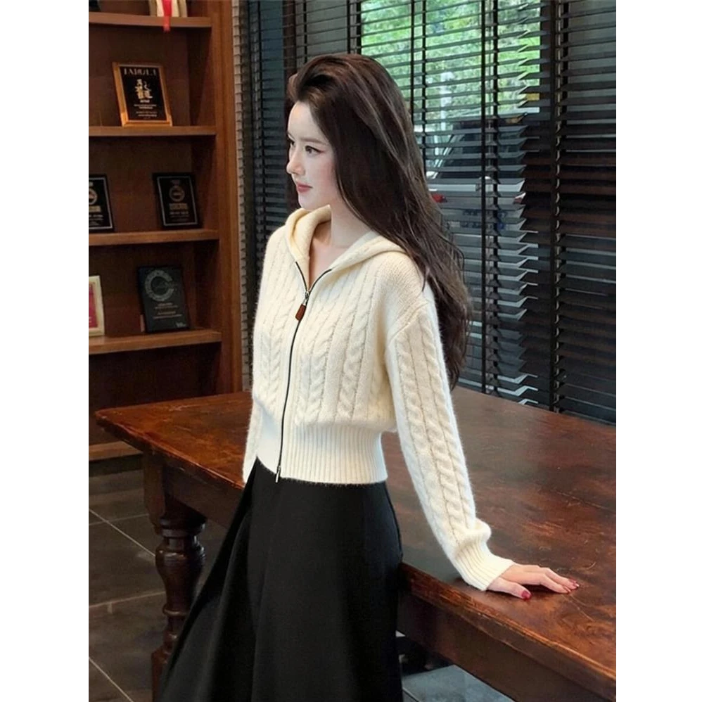 秋冬新款连帽针织衫毛衣女时尚百搭气质轻熟风上衣设计感别致小衫