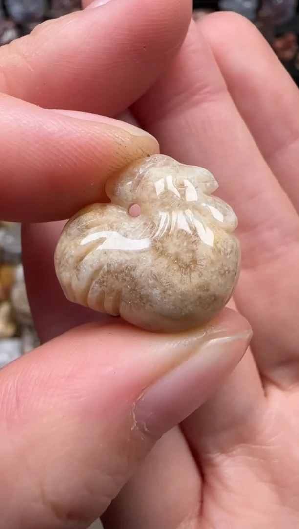 颈饰未镶嵌硅化珊瑚（珊瑚玉）254
