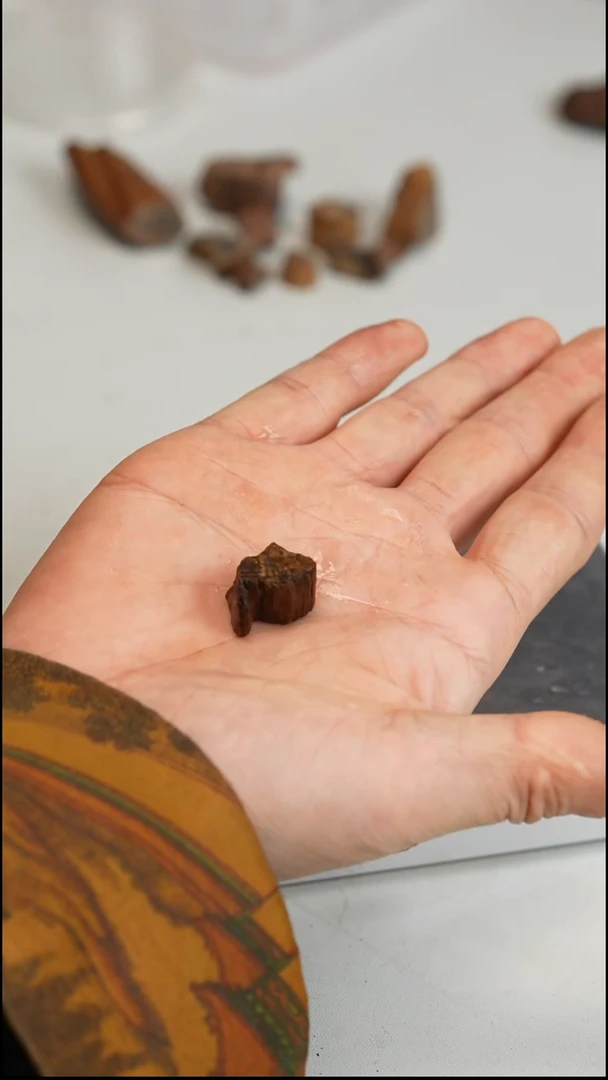 沉香沉香碎屑越南富森红土1.64g