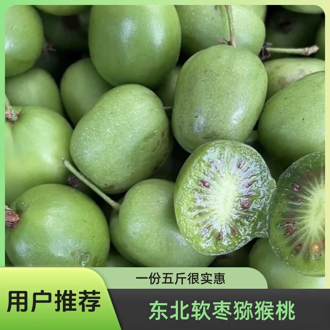 东北原生态软枣子迷你猕猴桃一份五斤装