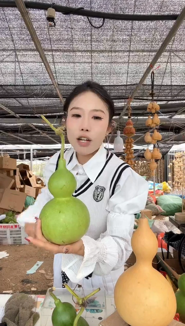683天然葫芦摆件 一物一拍龙头不保售后