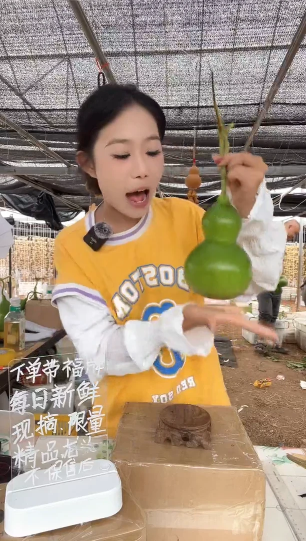 271天然葫芦摆件 一物一拍龙头不保售后