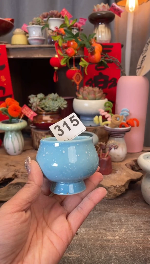 【闪购商品】摆件315知木小芳花盆