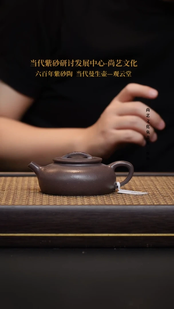 茶壶紫砂宜兴紫砂壶圆瓦