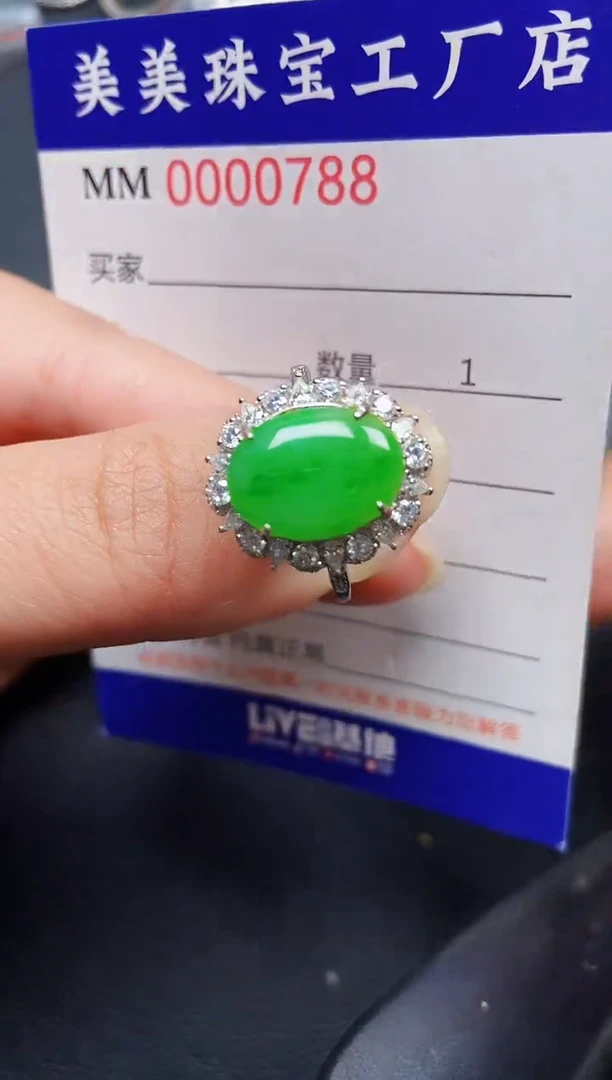 翡翠银S925镶嵌颈饰0788