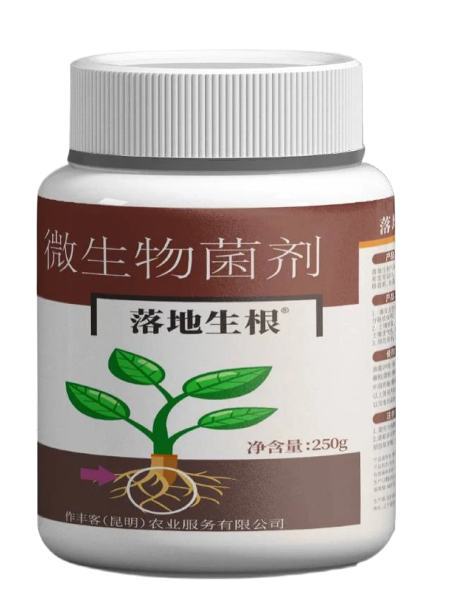 落地生根™️一亩半斤!肥到哪里根就到哪里!(一罐一亩)拍10发11