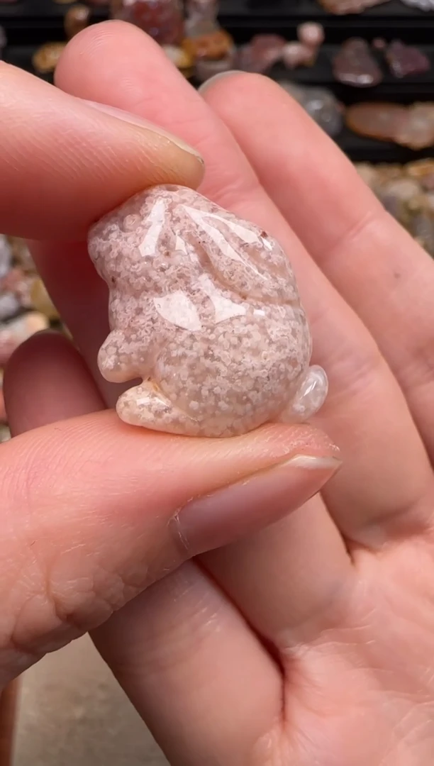 硅化珊瑚（珊瑚玉）未镶嵌颈饰792