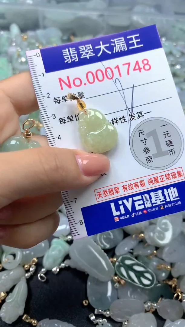 颈饰未镶嵌翡翠1748