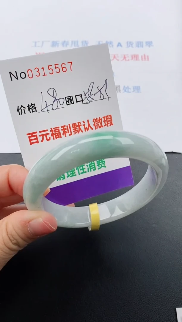 【闪购商品】翡翠手镯未镶嵌天然A货翡翠0315567