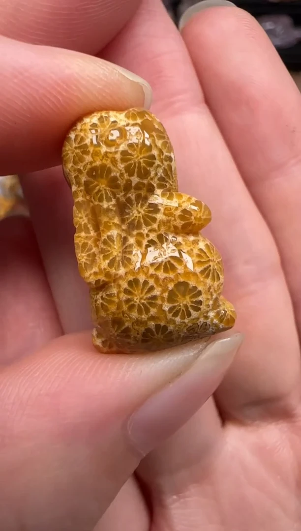 硅化珊瑚（珊瑚玉）未镶嵌颈饰237