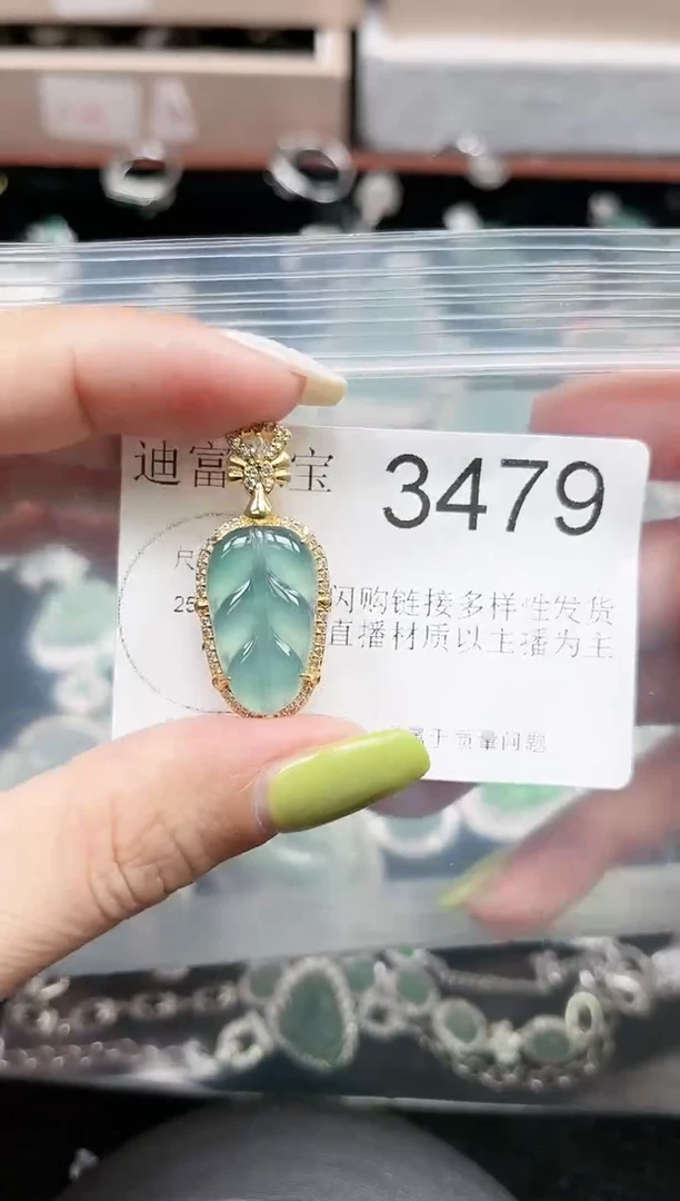 【闪购商品】翡翠颈饰未镶嵌赠皮绳3479