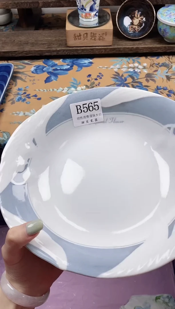 瓷片                B565
