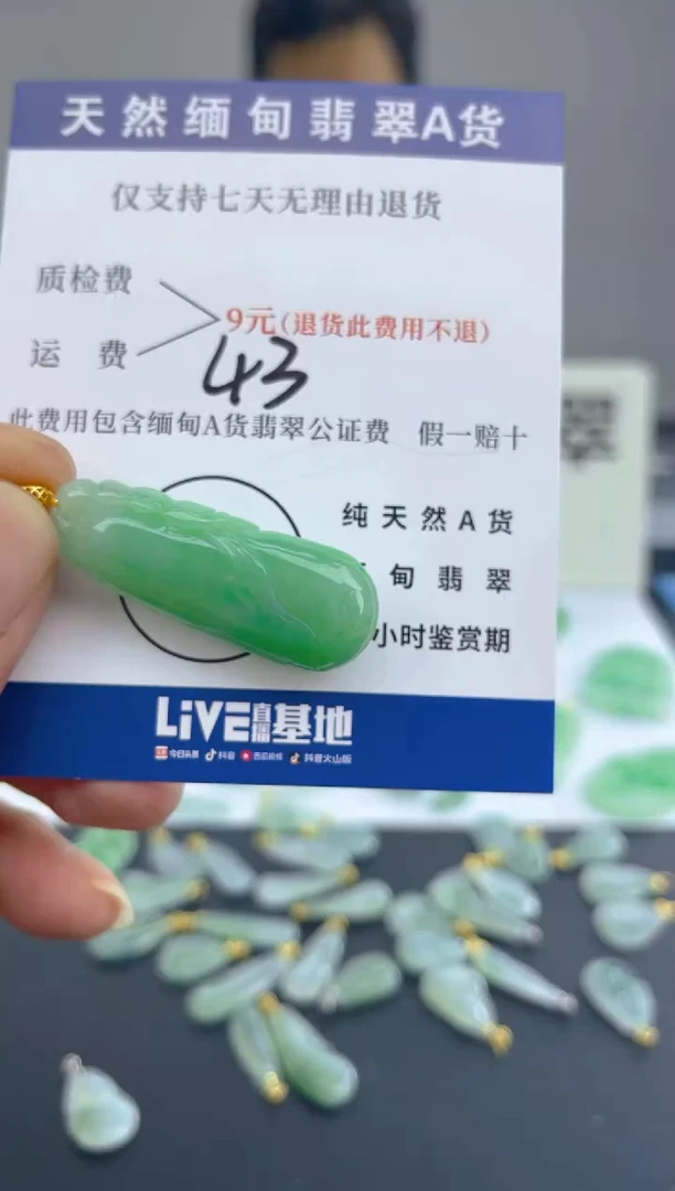 颈饰18K金镶嵌翡翠天然A货翡翠
