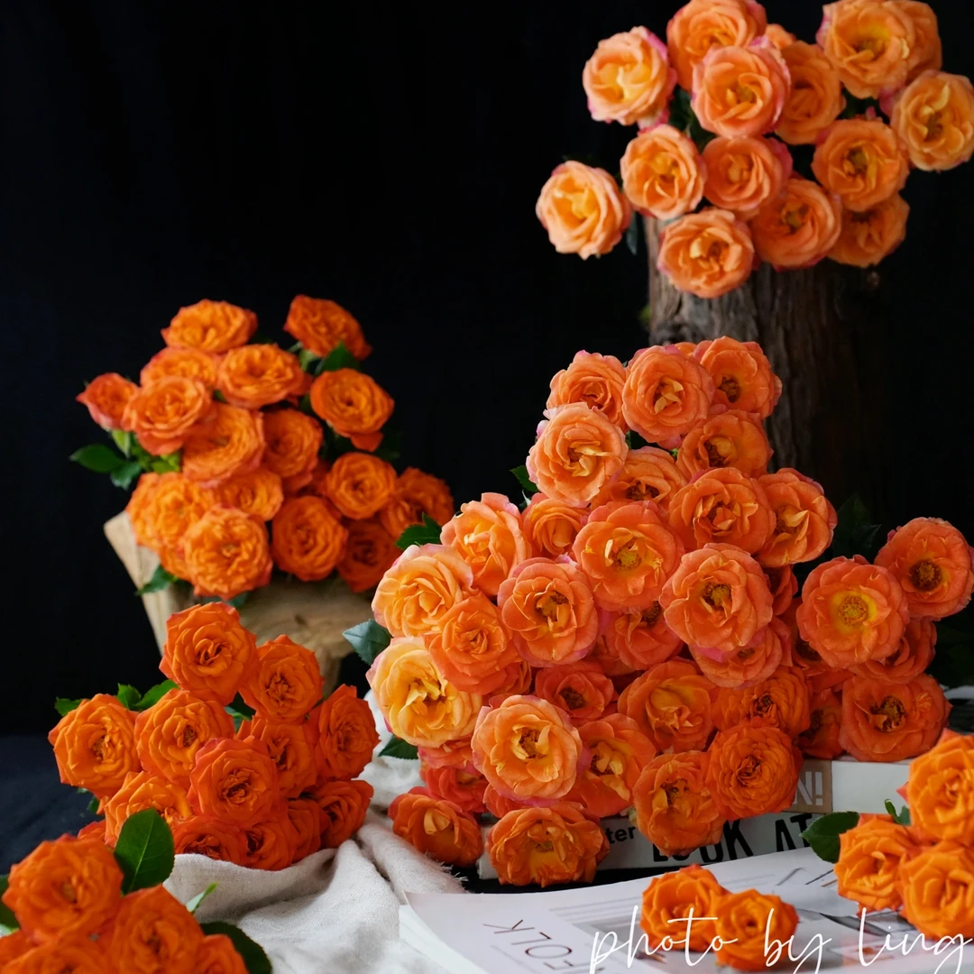 【小阿阮】A级#橙色芭比#多头玫瑰花活力家居装饰 顺丰直发