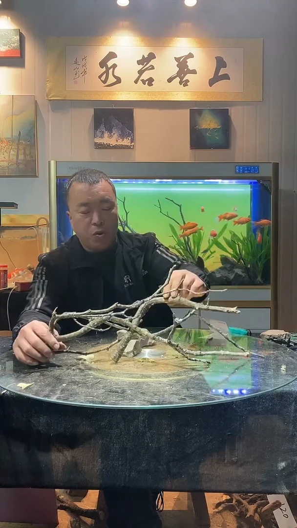 133号天然黄栎木一组