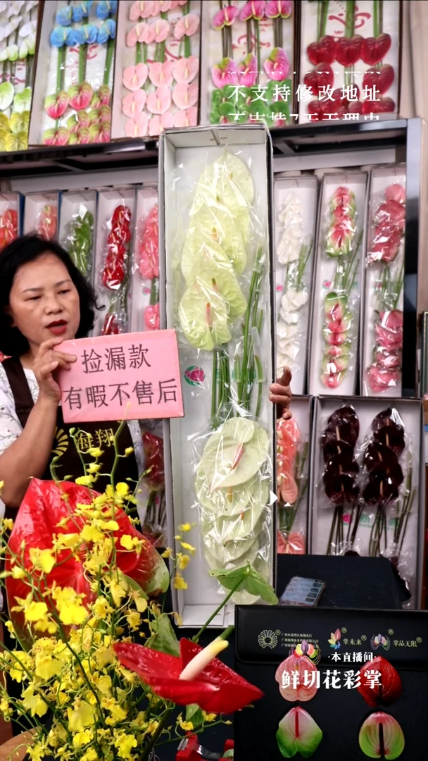香槟12支中掌，128包邮有瑕无售后慎拍（介意慎拍否则限制购买）
