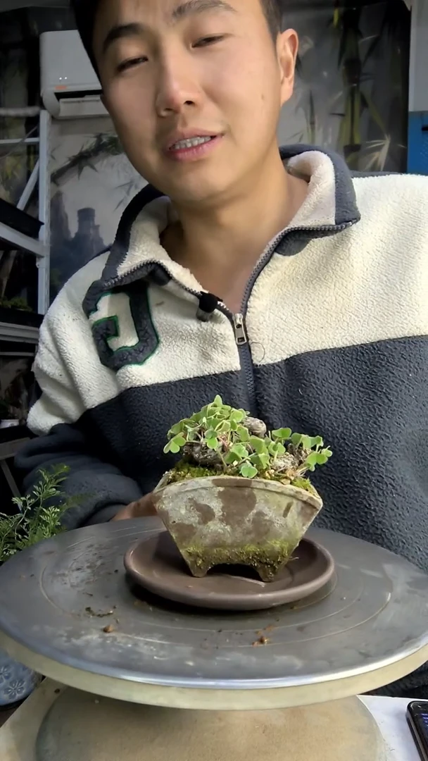 高**粒中青园艺一物一拍花437