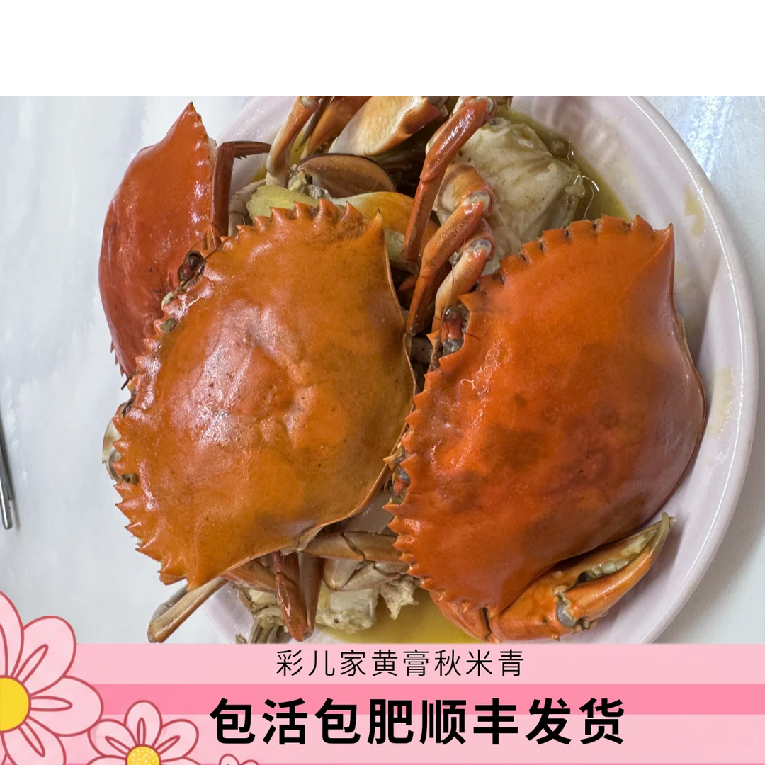 彩儿家*秋米青包活包肥顺丰发货