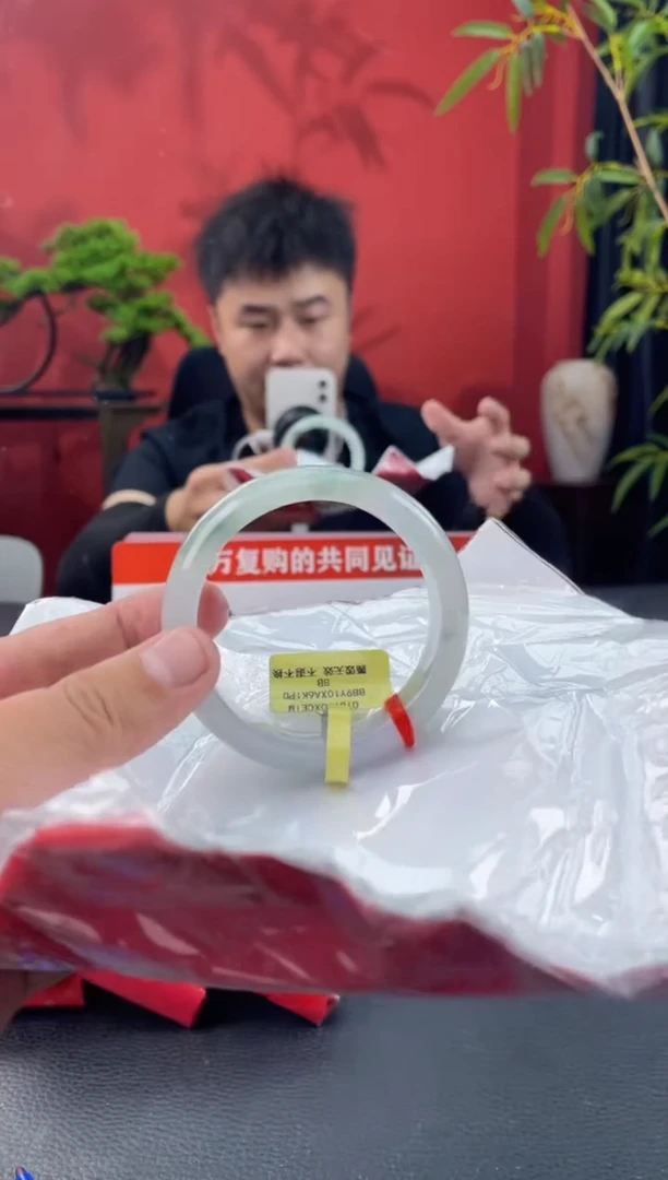 未镶嵌手镯翡翠11