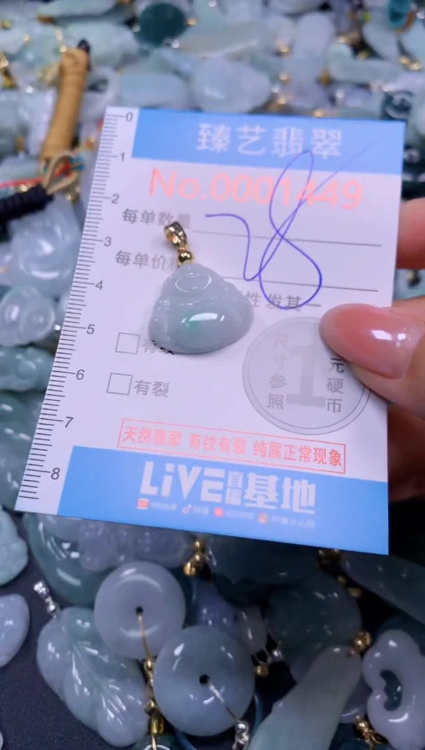 颈饰未镶嵌翡翠1449