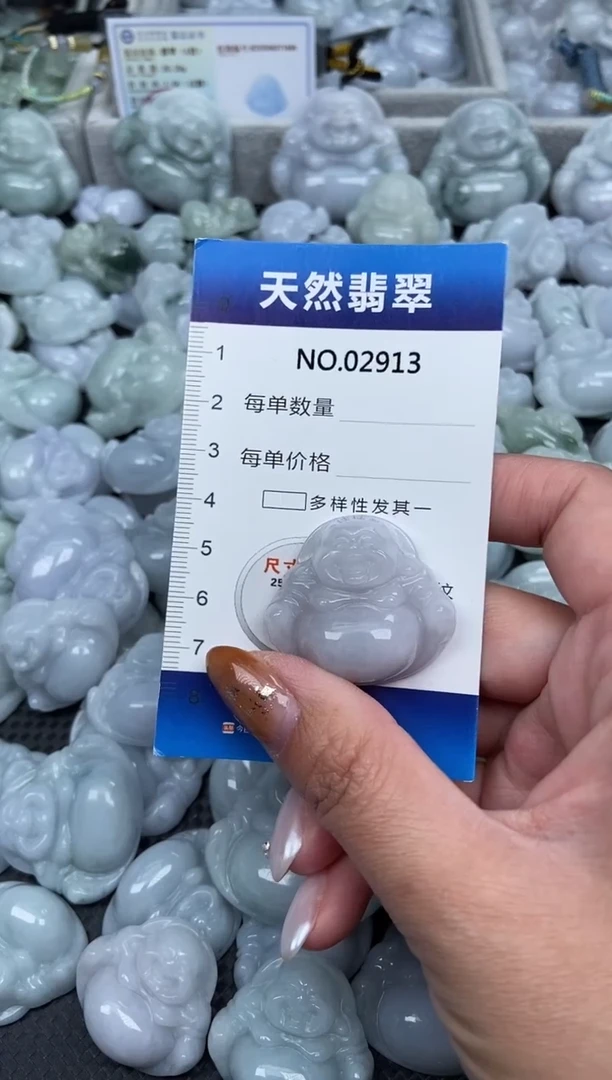 颈饰未镶嵌翡翠纯天然A货翡翠2913