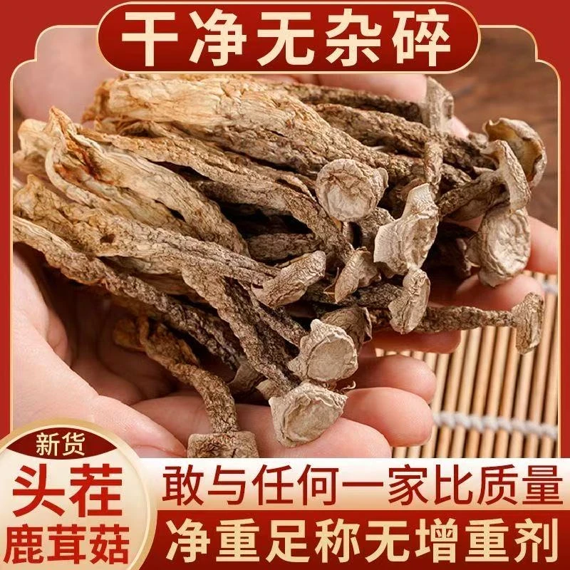 拍1发4 精选鹿茸菇干货鹿茸菇无硫菌菇古田特产净重煲汤好食材
