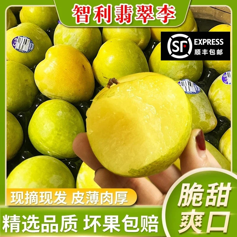 【顺丰包邮】智利进口绿宝石7J恐龙蛋李子水果黄肉酸甜可口孕妇水果