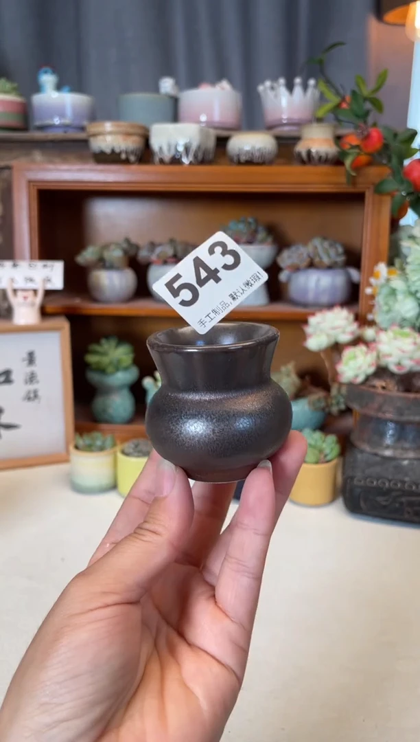 瓷片543知木小芳花盆