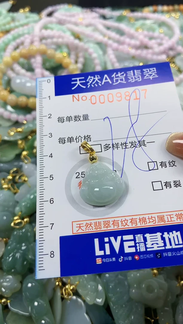 颈饰未镶嵌翡翠天然A货翡翠