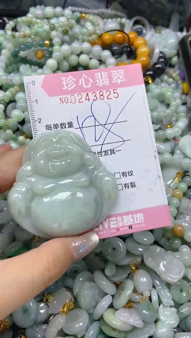 翡翠未镶嵌颈饰闪购0243825