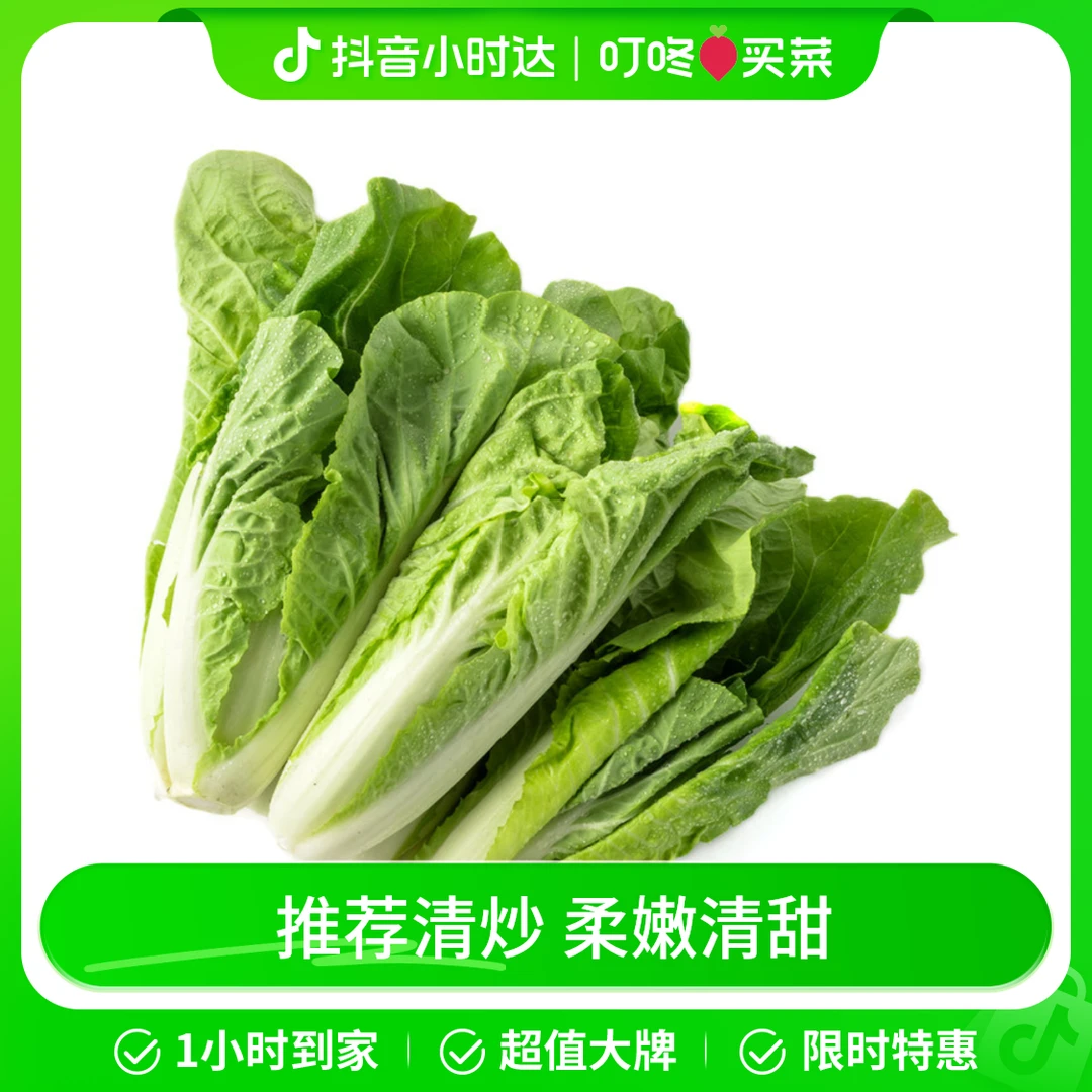 供港基地杭白菜苗 300g/份