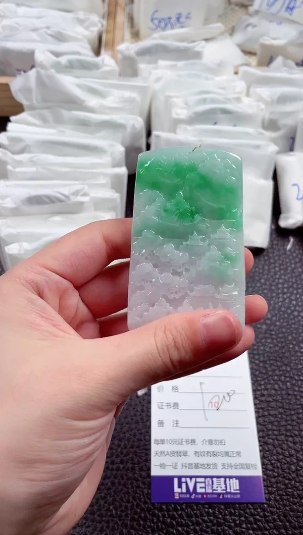 翡翠未镶嵌颈饰00004162
